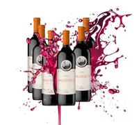 Malleolus - Vino Tinto Tempranillo | DO Ribera del Duero | Vendimia 2022 | Crianza en roble francés | Notas de frutos negros y especias | Cuerpo potente y equilibrado | 6 Botellas