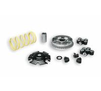 MALOSSI - 60886 : Variador Multivar Malossi KYMCO AGILITY 125 4T PEOPLE/MOVIE/LIKE 5114404