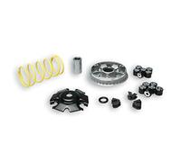 MALOSSI - 60886 : Variador Multivar Malossi KYMCO AGILITY 125 4T PEOPLE/MOVIE/LIKE 5114404