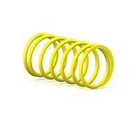 MALOSSI - 60954 : Muelle Contraste Embrague Super