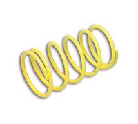 MALOSSI - 60963 : Muelle Contraste Embrague Super