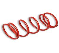 MALOSSI - 60972 : Muelle Contraste Embrague Extra