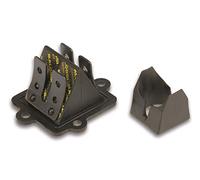 MALOSSI - 60979 : Caja láminas carbono Malossi MHR AEROX/NEOS/F12/F10/F15/KEEWAY/CPI 27 7731.C0