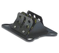 MALOSSI - 60982 : Caja láminas Carbono MHR DERBI E