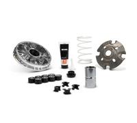 MALOSSI Variador Multivar 2000