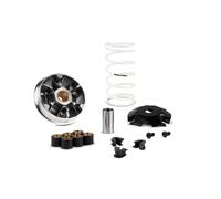 MALOSSI Variador Multivar 2000