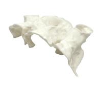 MALSSE Acuarios escondite decoración de casa segura para mascotas, peces, camarones, refugio, cueva, peceras, decoración de acuarios, agua salada, agua dulce, acuarios