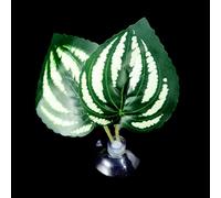 MALSSE Bettas - Hamaca de peces con ventosa para plantas, cama de hojas realista, cama de descanso para peceras, acuarios, hábitats, decoración del hogar, accesorios para acuarios