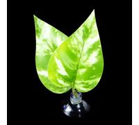 MALSSE Bettas - Hamaca de peces con ventosa para plantas, cama de hojas realista, cama de descanso para peceras, acuarios, hábitats, decoración del hogar, accesorios para acuarios