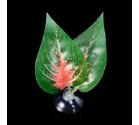MALSSE Bettas - Hamaca de peces con ventosa para plantas, cama de hojas realista, cama de descanso para peceras, acuarios, hábitats, decoración del hogar, accesorios para acuarios
