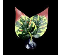 MALSSE Bettas - Hamaca de peces con ventosa para plantas, cama de hojas realista, cama de descanso para peceras, acuarios, hábitats, decoración del hogar, accesorios para acuarios