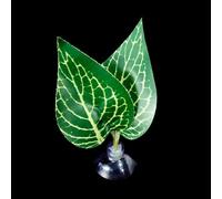 MALSSE Bettas - Hamaca de peces con ventosa para plantas, cama de hojas realista, cama de descanso para peceras, acuarios, hábitats, decoración del hogar, accesorios para acuarios