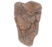 MALUGOGO Muestra de enseñanza de meteoritos pequeña y ligera para aulas de ciencias y decoración de fiestas, espécimen de roca de meteorito de litosiderita para profesores en el día o cumpleaños