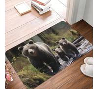 Mamá Osa Y Su Alfombra para Interior Suaves Felpudo Entrada Duradera Tapete Entrada Casa para Oficina Dormitorio Pasillo 60X40Cm