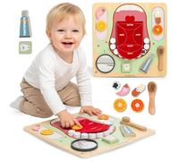 Mamabrum Pizarra de madera Montessori Pequeño Dentista MAM263 - Pizarra Educativa 45 x 45 cm - Dientes, Cepillo de Dientes, Espejo, Sabores - Higiene Educativa para Niños 18 m +