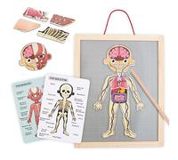 mamabrum Puzzle MagnéTico Educativo del Cuerpo Humano - Pizarra 39,6cm con Esqueleto Humano y Órganos - Set Anatomía Infantil con 2 Tarjetas Doble Cara para Niños