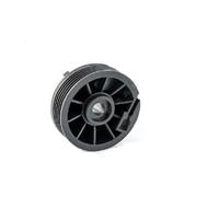 MAMEFVBB Clips deslizantes para regulador de ventana KIT REPARACIÓN RODILLO POLEA ELEVALUNAS DELANTERO IZQUIERDO Para MEGANE 2 II 2002-2016 Para MODUS Clip Elevalunas