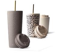MAMEIDO Vaso térmico con pajita 700 ml (Sleek Leo)