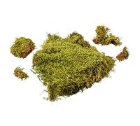 MaMeMi Bolsa de Musgo Natural [Hecho a Mano, Alemania] - Musgo Seco para Pesebres, Manualidades, Decoración y DIY