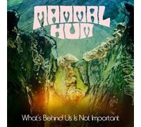 Mammal Hum - What's Behind Us Is Not Important