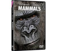 Mammals - Ultimate Wildlife: Mammals [USA] [DVD]