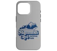 Mammoth Cave National Park Kentucky Cavern Vintage Retro Carcasa para iPhone 16 Pro
