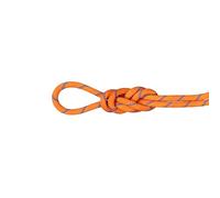 Mammut 9.0 Alpine Sender Dry Rope 60m Cuerda de Escalada, Adultos Unisex, Sunrise-Ice, 60 m