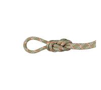 Mammut 9.5 Gym Classic Rope - Cuerda Simple para Escalada | Material Resistente de Seguridad Profesional | 40 m, Boa-White