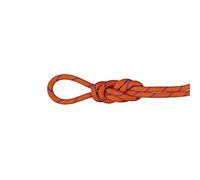 Mammut Alpine Sender Dry Rope 9,0 mm Dry - Sunrise/Ice LG 60