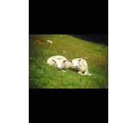 MAN as a CROSS between a PARROT, a SHEEP and ...