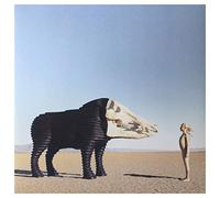 Man Man - Dream Hunting In The Valley Of The In-Between - Vinyle Rose [Vinilo]