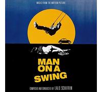 Man on a Swing