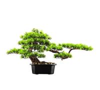MANAFEEL Bonsái Artificial Adornos de bonsái de Pino de Bienvenida, bonsái de raíz de Azalea de Madera Creativo, Entrada de casa, Hotel, Club, Decoraciones Suaves Árbol bonsái Artificial