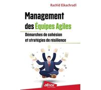Management des équipes agiles: Démarches de cohésion et stratégies de résilience