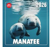 Manatee Calendar 2026: Gentle underwater encounters with nature’s floating giants