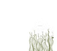 Manatee - Indecision [Vinilo]