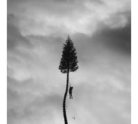 Manchester Orchestra A Black Mile to the Surface (CD) Album (Importación USA)