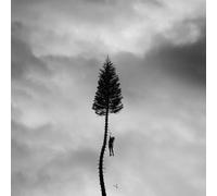 Manchester Orchestra - A Black Mile To The Surface [Vinilo]