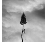 Manchester Orchestra - A Black Mile to the Surface (Silver 2lp) [Vinilo]