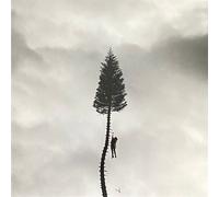 Manchester Orchestra - A Black Mile To The Surface [Vinilo]