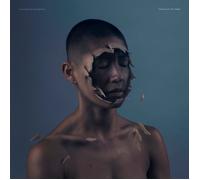 Manchester Orchestra The Valley of Vision (Vinyl) (Importación USA)