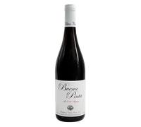 Manchuela Buena Pinta 2024