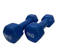 Mancuernas de vinilo (par)