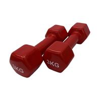 Mancuernas de vinilo (par)