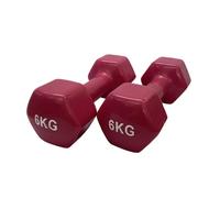 Mancuernas de vinilo (par)