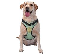 Mandala Celta en Verde Salvia Suave y Dorado,Arnés para Mascotas, arnés Reflectante Ajustable para Perros,XL