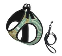 Mandala Celta en Verde Salvia Suave y Dorado,Arnés para Mascotas, arnés Reflectante Ajustable para Perros,L
