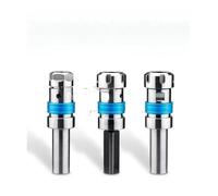 Mandril de roscar telescópico TER16 TER20 TER25 TER32 for torno CNC con protección contra sobrecarga y soporte de roscado de par(GS16-TER32-80L)