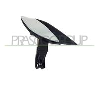 Manecilla De Puerta Equipamiento Habitáculo Prasco FT5208601 para Fiat