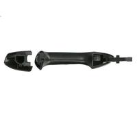 Manecilla exterior de la puerta BLIC 6010-02-053402P para CLASE A (W176) 2 2012-